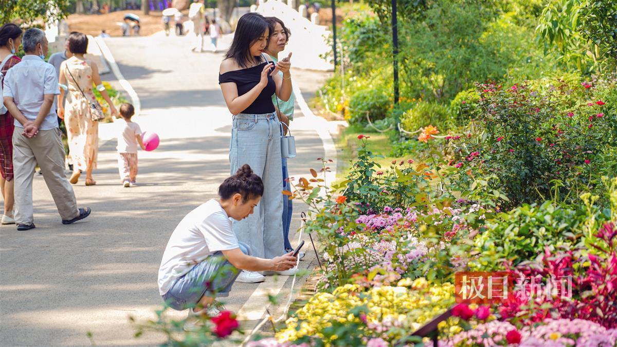 天天斗地主单机版下载